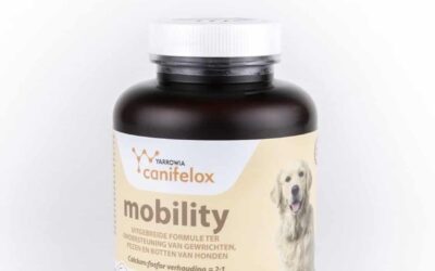 Mobiltiy: voor soepele gewrichten 120 tabletten