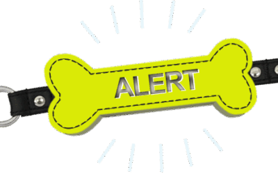 Yellow alert bone