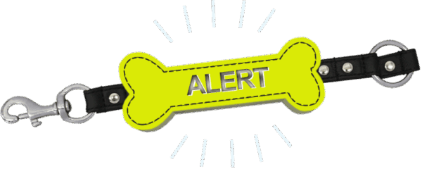 Yellow alert bone