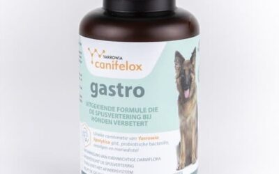 Gastro 120 gram (uitgekiende formule die de spijsvertering bij honden verbetert)
