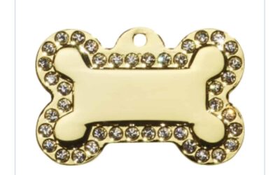 Glamour small botje goud