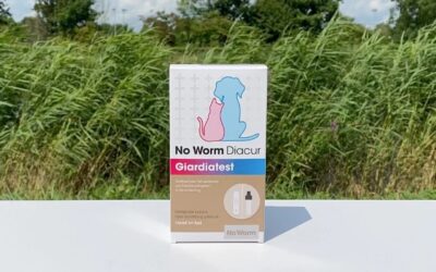 No Worm Diacur Giardiatest